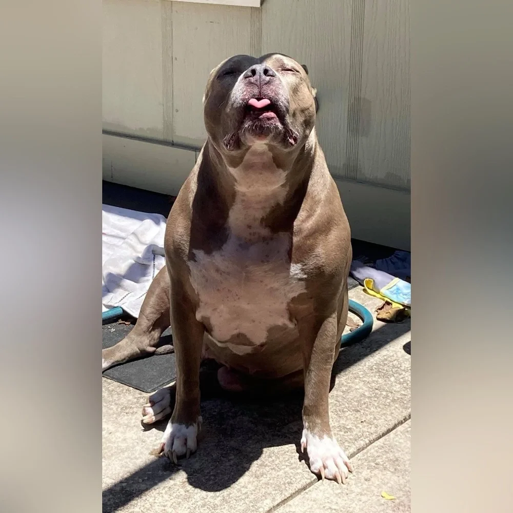 4/19 @2pm CST Coach preferred or luxury & designer bags, wallets & accessories. - Picture 12 of 14